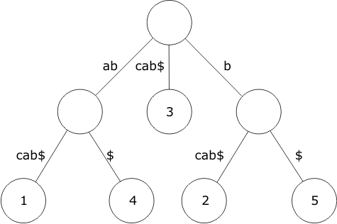 Figure 6.1 - Example Suffix Tree